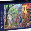 Bluebird Puzzle: Spring Hill (1000)