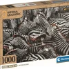 Clementoni: National Geographics - Burchell Zebras (1000)