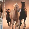 Clementoni: Running Horses (1000)