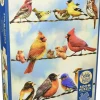Cobble Hill: Birds on a Wire (500)