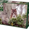 Cobble Hill: Great Horned Owl (1000)