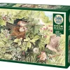 Cobble Hill: Hidden Nest (1000)