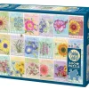 Cobble Hill: Seed Packets (500)