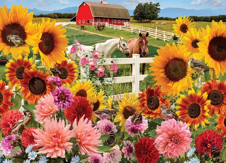 Cobble Hill: Sunflower Farm (1000)