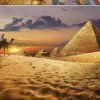Educa: Camel in the Dessert (1000)