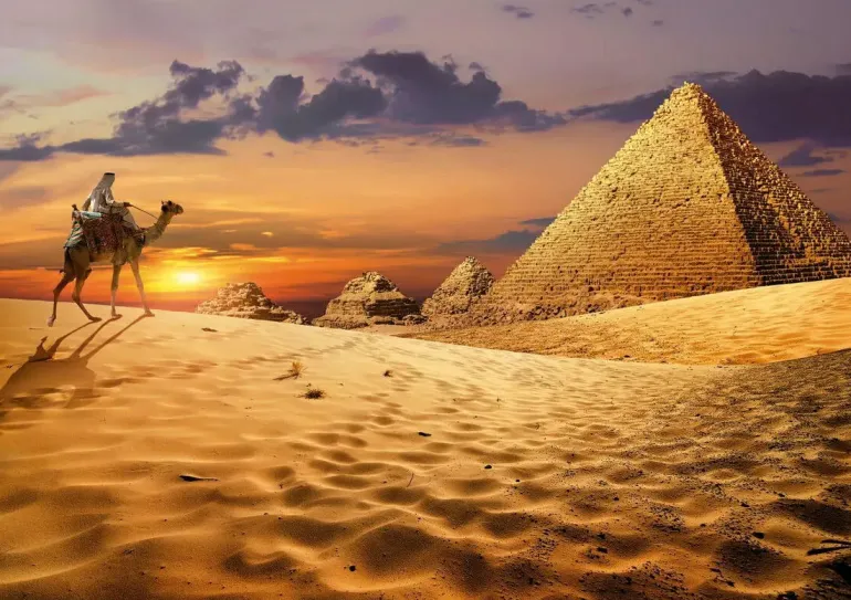Educa: Camel in the Dessert (1000)
