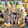 Educa: It's a Class Photo (300)