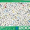 EuroGraphics: David Sibley - The World of Birds (2000)