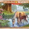 EuroGraphics: Steve Crisp - The Fell Ponies (1000)