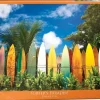 EuroGraphics: Surfer's Paradise Hawaii, USA (1000)
