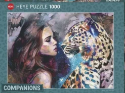 Heye: Companions - Aligned Destiny (1000)