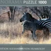Heye: Panorama - Humboldt, Feeding (1000)