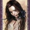 Heye: Victoria Francés - Favole, Dark Rose (1000)