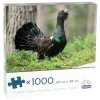 Peliko: Tjäder (1000)