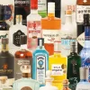Piatnik: Taste of Gin (1000)