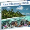 Ravensburger: A Dive in the Maldives (2000)