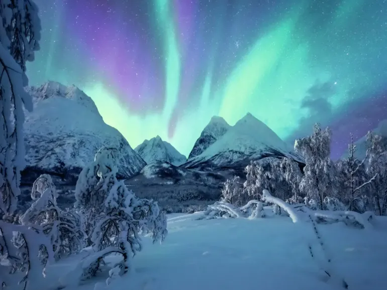 Ravensburger: Power of Nature - Stefan Hefele, The Arctic Show (1500)