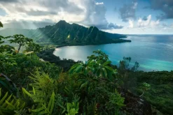 Ravensburger: Stefan Hefele - Hawaiian Viewpoint (5000)