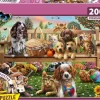 Schmidt: A Garden Picnic for Dogs and Cats (200)