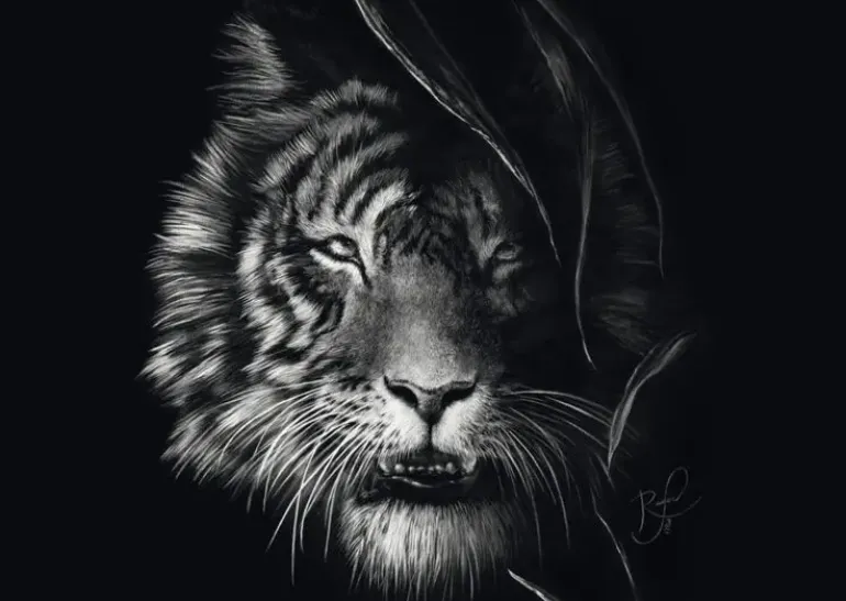 Schmidt: Ashley Rader - Wilderness, Tiger - The Epitome of Freedom (1000)