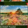 Schmidt: Assaf Frank - Sunset on the Heath (1000)