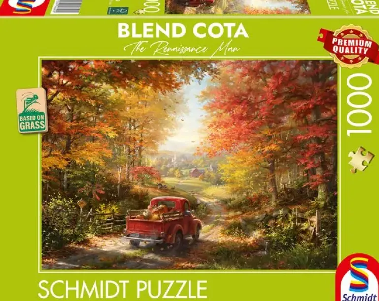 Schmidt: Blend Cota - Back Home (1000)