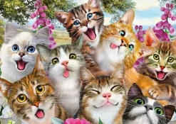 Schmidt: Cat Selfie (500)