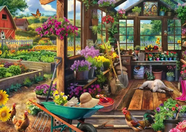 Schmidt: Jeff Haynie - Garden Shed (1000)