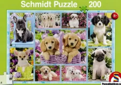 Schmidt: Puppies (200)