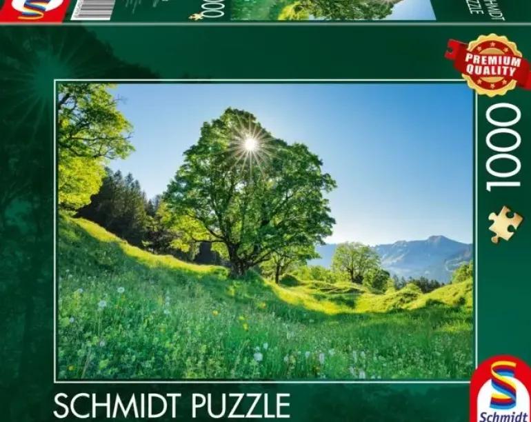 Schmidt: Sycamore Maple in the Sunlight - St. Gallen, Switzerland (1000)