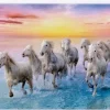 Trefl: Galloping White Horses (500)