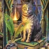 Trefl: Lisa Parker - Book of Shadows (1000)