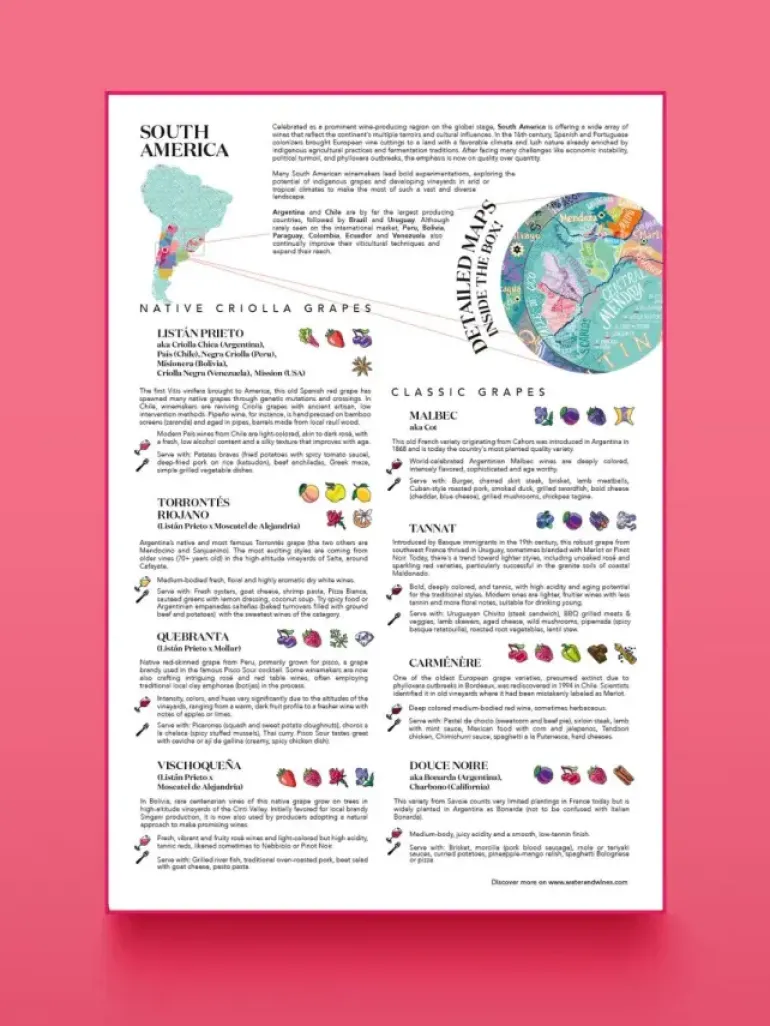 Water & Wines: South America - Wine Puzzle (1000)